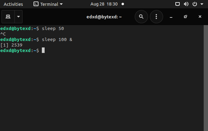 Working with Foreground and Background Processes in Linux 12 word image 68