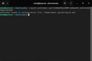 Introduction to Ngrok: A Tutorial for Beginners - ByteXD