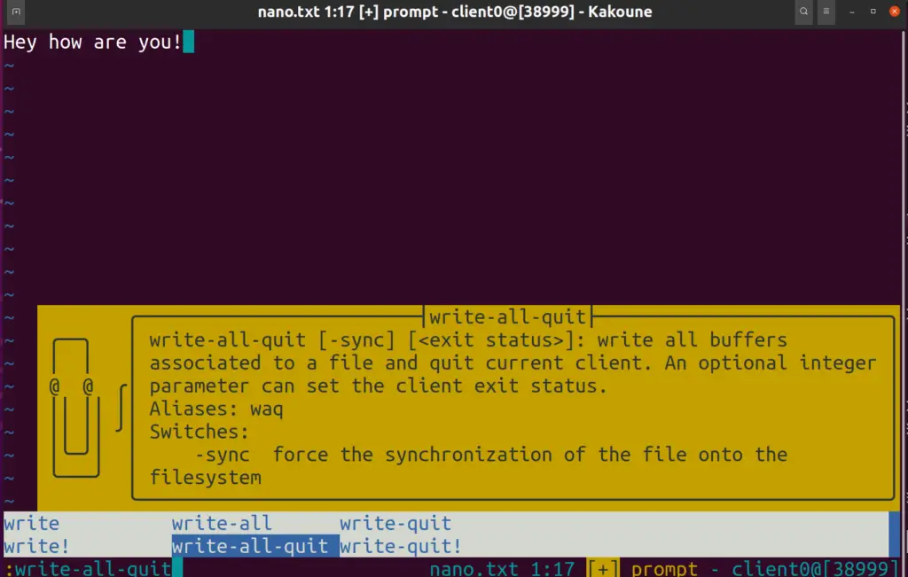 Kakoune file save options on Ubuntu 20.4