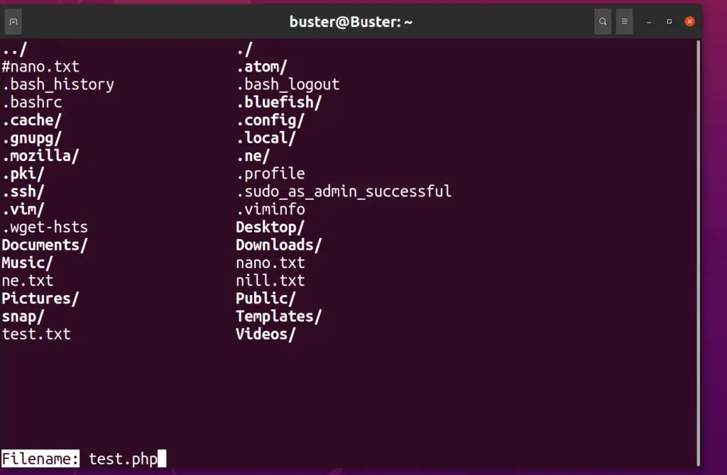 Nice editor ne file save terminal Ubuntu 20.04