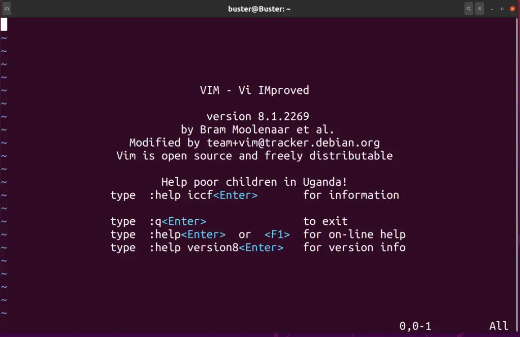 Vim editor in Ubuntu 20.04 terminal
