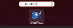 bluefish GUI icon on Ubuntu 20.04
