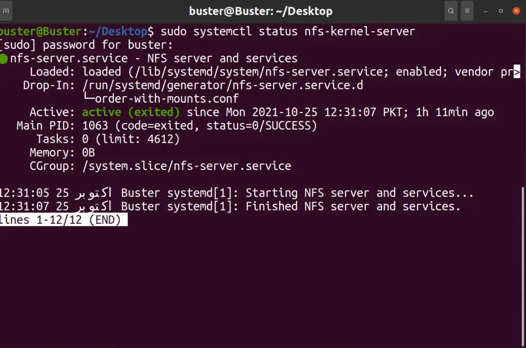 nfs server start status command ubuntu terminal 20.04