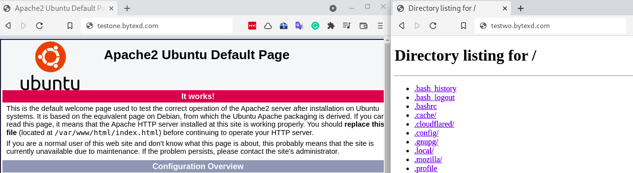 visiting tunnel subdomains we just added in browser and confirming it works