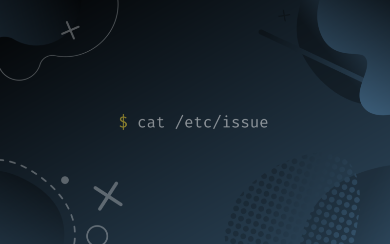 $ cat /etc/issue