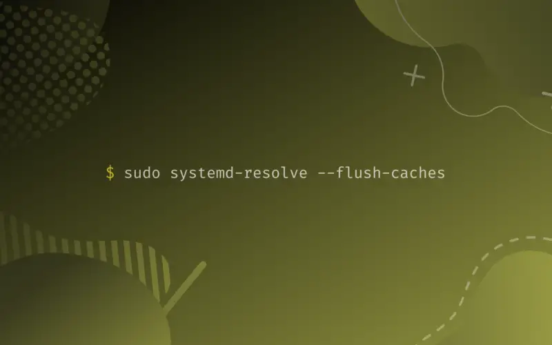sudo systemd-resolve --flush-caches
