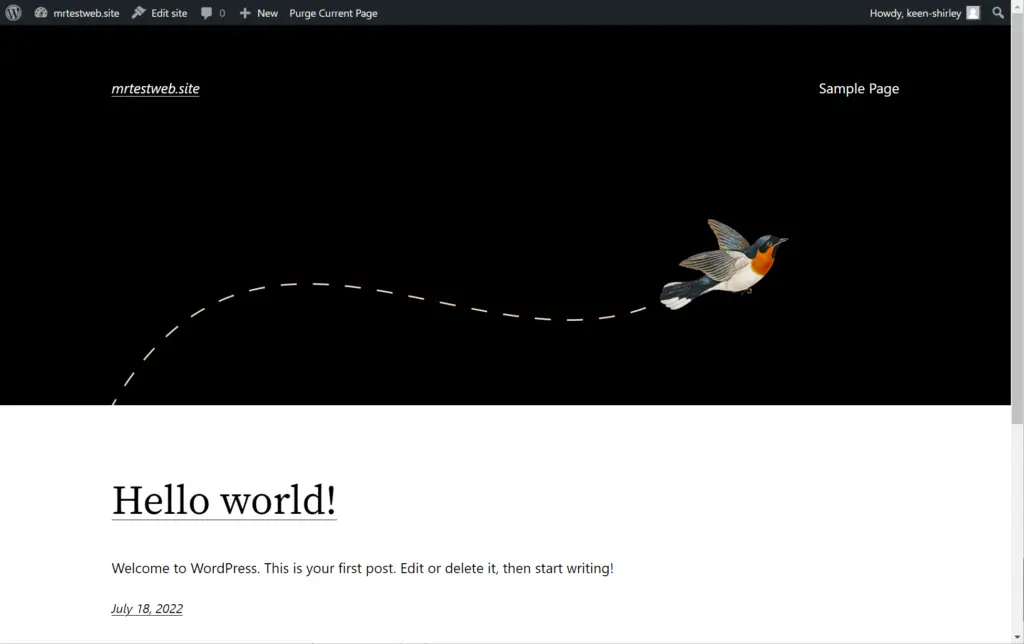 website screenshot with default wordpress theme and hello world post