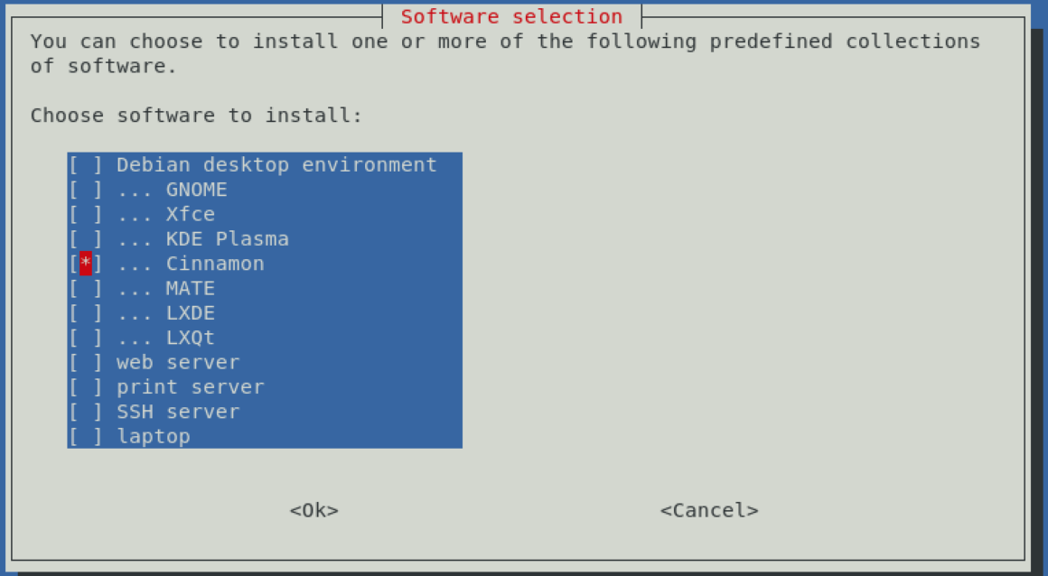 Installing Cinnamon Desktop Environment on Debian 11