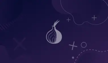 tor onion logo on purple background