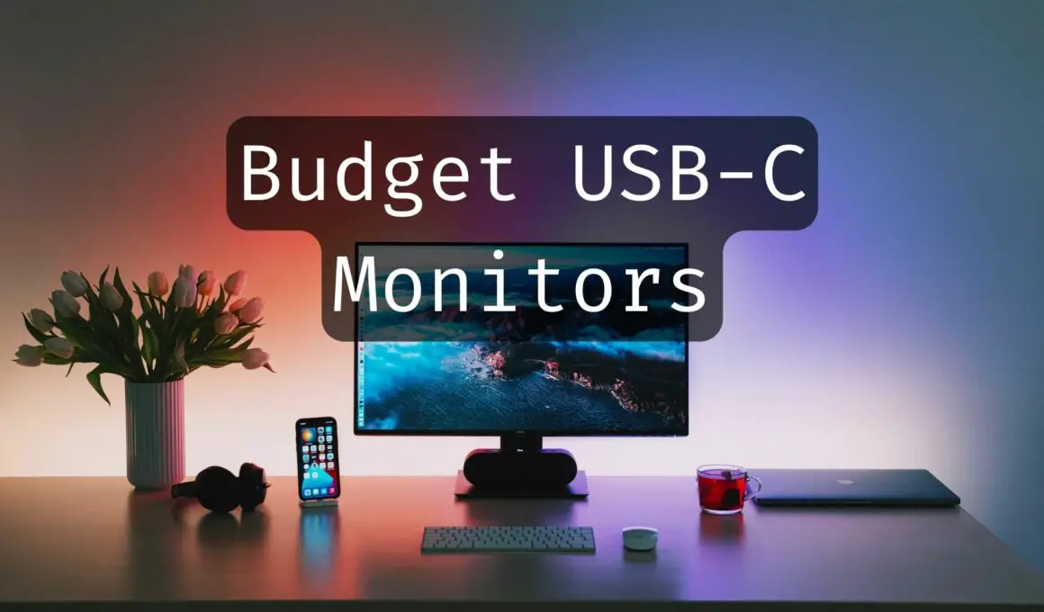 budget usb c monitors