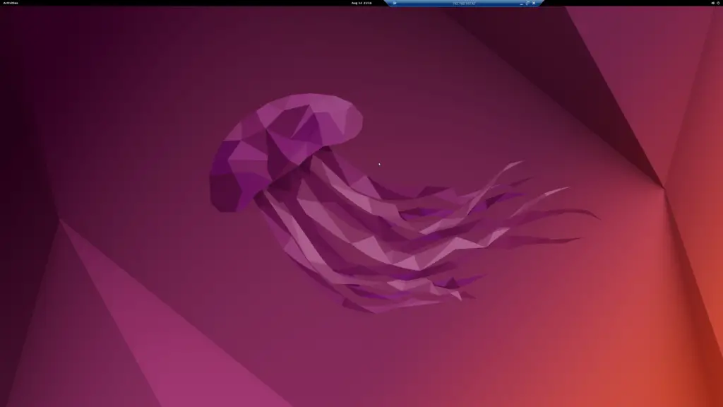 Screenshot of an Ubuntu 22.04 after connecting using RDP (Remote Desktop Protocol)