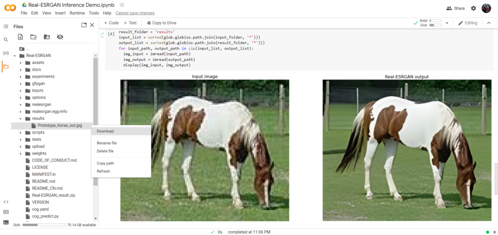 How to Use ESRGAN: Free AI Tool to Upscale Unlimited Images 34 Download File via Colab File Browser