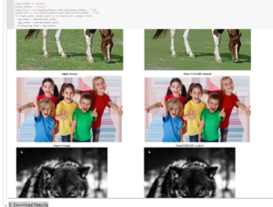 How to Use ESRGAN: Free AI Tool to Upscale Unlimited Images 36 Visualizing multiple upscaled images