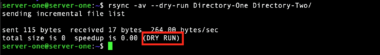 How to Use Rsync Dry Run (‐‐dry-run) with Examples