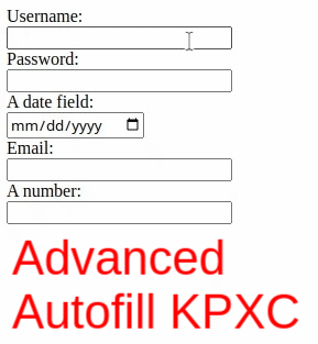 Notes/ByteXD Articles/Top Open-Source Password Managers/AdvancedFormFillingKeePassXC.gif