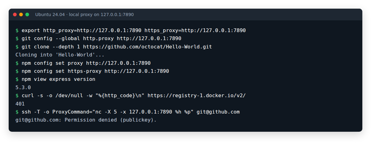 Terminal: git clone, npm view, a Docker Hub request and SSH to GitHub, all through a local proxy on 127.0.0.1:7890